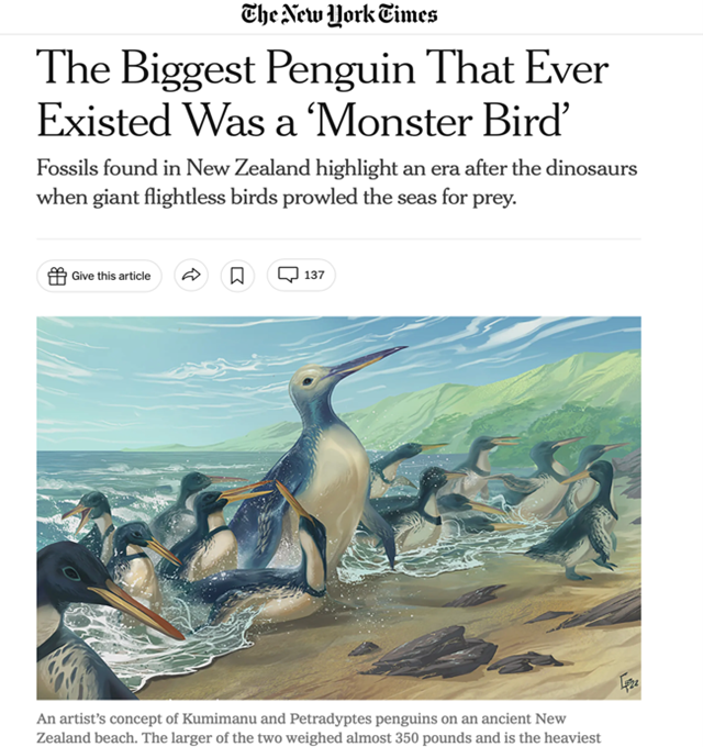 screen capture of a New York Times article with an illustration of penguins on a beach