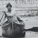 Black and white image of Paul L. Errington canoeing through a marsh